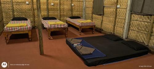 Hampi House | Banana Tree Home Stay