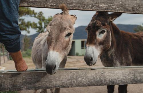 Kangaroo Valley House | Banksia Park Cottages