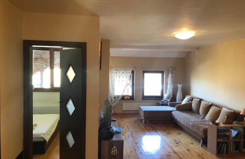 Shiligarnika Apartment | Bansko Palace