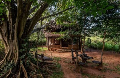 Hambegamuwa House | Banyan Camp Wine Lodge Eco Retreat on Full Board Basis