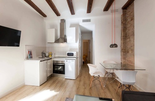 Ciutat Vella Apartment | Baron Reina 1 - Plaza de la Reina