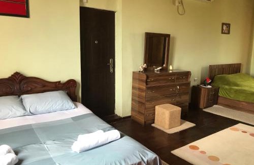 Zestafoni Apartment | Barsa