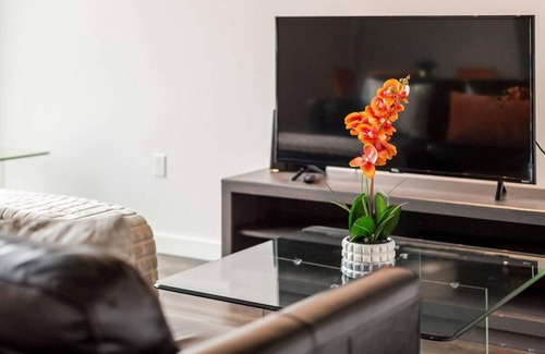 Southwest Apartment | Barsala l The Bridge District Gem: Charming 1BD in DC