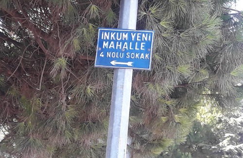 Bartin Apartment | Bartın İnkumu Sahilinde Geniş Ev