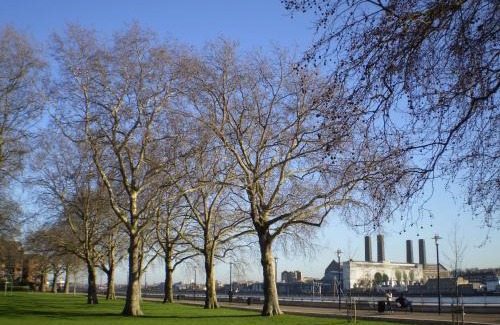 Island Gardens House | Bartlett House Greenwich by Smart Corporate Stays