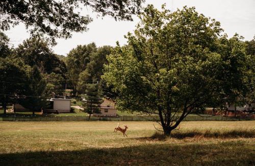 Piedmont House | BaseCamp Cabin