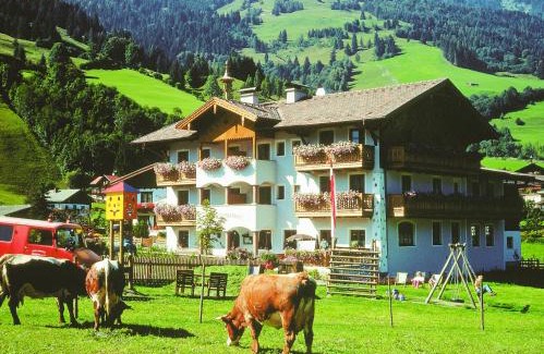 Dorfgastein Apartment | Bauernhofhotel "die Unterbergerin" - Zimmer mit Frühstück und Ferienwohnungen in Gastein mit GRATIS Thermeneintritt