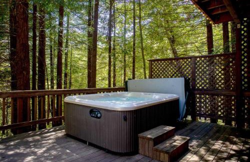 Cazadero House | Baumhaus