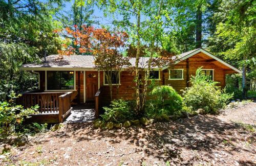 Cazadero House | Baumhaus