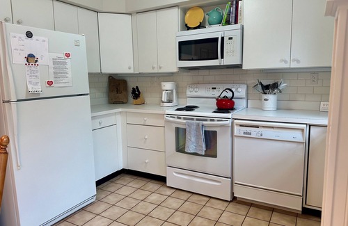 Harbor Springs Condo | Bay Springs #5 - Bay Street! 2BDR 2.5BTH Walk to shops, dining and beaches!