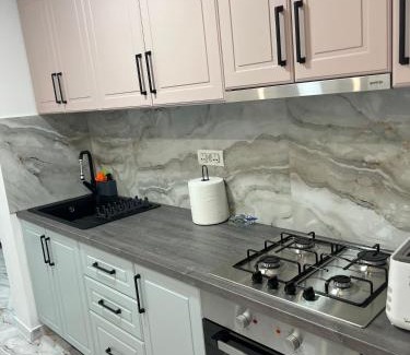 Iasi Apartment | BB Apartaments Granit