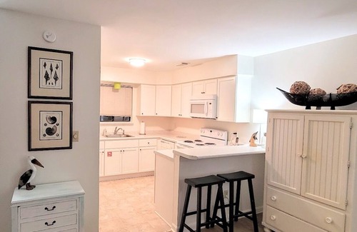 Port St. Joe House | BD43 Gulf Views, End Unit -Many Amenities, High Speed WiFi, Dog Friendly