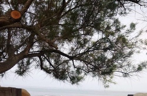 Stavromenos Villa | Beach 5 meters from the garden, sea view, amenities, quiet, 9-12 people.