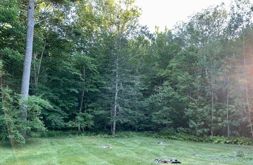 Rockport House | Beach Close Chalet in Rockport Maine