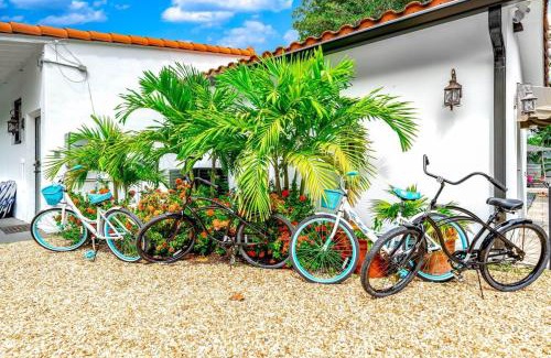 Harbor Beach House | Beach Estate Las Olas Beach Best Location