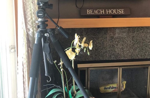 Blaine Apartment | BEACH FRONT CONDO VIEWS FROM EVEREY ROOM WALKING DISTANCE TO RESORT