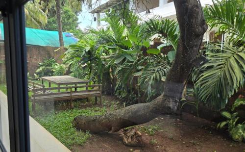 Ashvem Villa | Beach front villa Ashwem Ocean