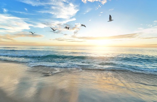 Riviera Beach Apartment | "Beach Life Suite" Charming 1-bed/1 bath apartment
