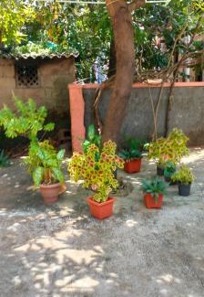 Mangalore House | Beach Side homestay
