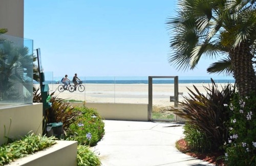 The Jungle Condo | Beachfront Retreat Playa/Marina