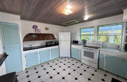 George Town Villa | Beachy Villa right on the ocean, where you can find our famous Exuma Turtles!