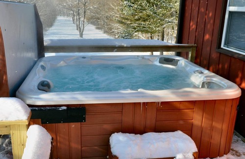 Rileyville Cabin | Bear Bluff- pet friendly home on the river!