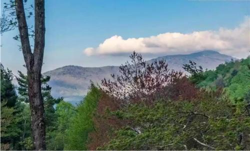 Blowing Rock House | Bear Lodge at Misty Mountain