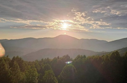 Del Rio Cabin | Bear's Den: 65 Acres of Seclusion, Nature, Beauty + Entertainment, Restaurants