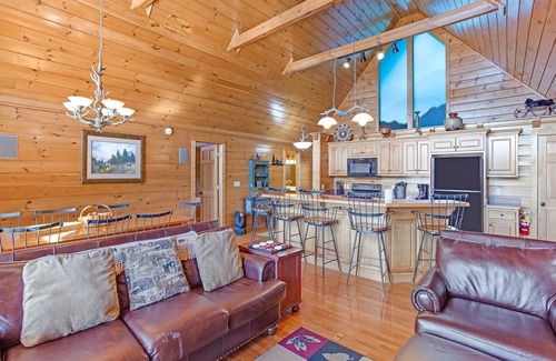 Black Bear Falls Cabin | Bear Slide | Game Room + Hot Tub & Mountain Views!