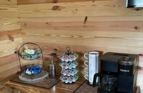 Cosby Cabin | Bear Top Junior Small Cabin w EV Chargernn