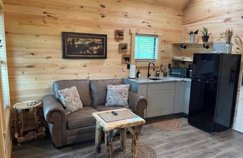 Cosby Cabin | Bear Top Junior Small Cabin w EV Charger