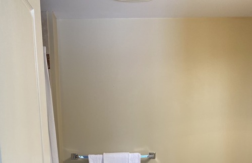 Courtenay Condo | Bearadise Suites 1 @ Mount Washington