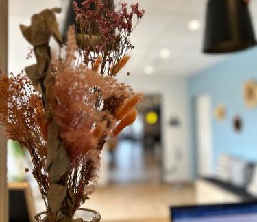 Villy-le-Pelloux Hotel | Beaujour & Bonsoir - Hotel