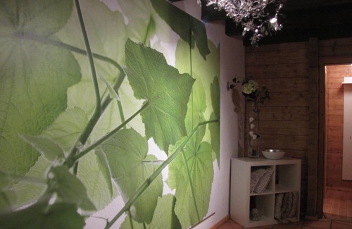 Kirchberg an der Iller Apartment | beautiful, cozy log house with four apartments from 3 nights