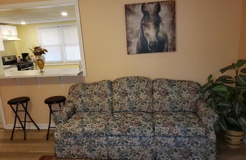 Cheektowaga House | BEAUTIFUAL 3BR, 1 Bath, FREE PARKING #B, FREE WIFI, FULL KITCHEN, Living room, back yard
