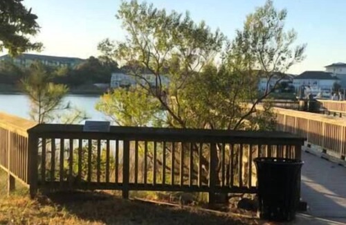 East Ocean View Apartment | Beautiful 1BED APT couple blocks from the beach #4