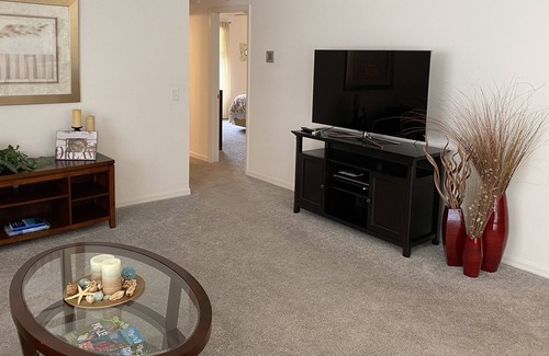 Fernandina Villa | Beautiful 2 Bdrm/2 Ba Dog Friendly Villa w/Gas Golf Cart & FREE WiFi!