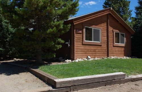 Almont Cabin | Beautiful 2 Bedroom Cabin on Taylor River with Private Hot Tub
