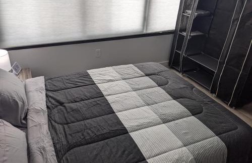 Downtown Apartment | Beautiful 2 Bedroom Apt in downtown silverspring
