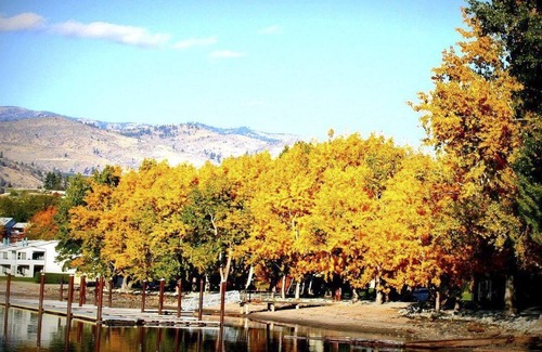 Manson Apartment | Beautiful 3 bedroom unit at resort, sleeps 8