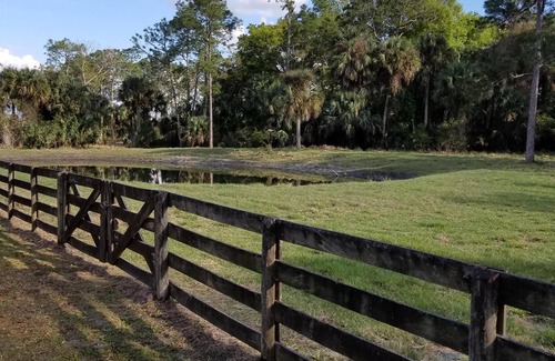 St. Cloud Cabin | Beautiful 5 Bedroom Log Cabin on 100 Acres with Pool, close to orlando
