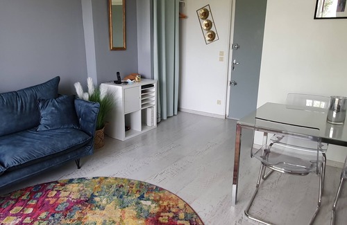 Le Grau-Du-Roi Apartment | Beautiful air-conditioned 3 room apartment in Boucanet