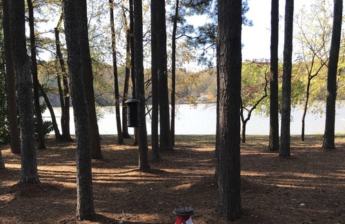 Athens RV Rental | Beautiful and level camping site on Elk River.