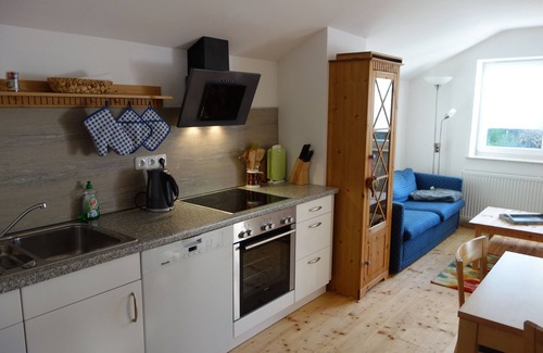 Muhlbach Apartment | Beautiful apartment with a view of the Kaiser