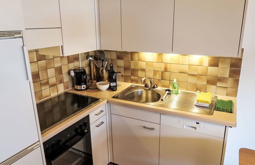 Schluein Apartment | Beautiful apartment for 5 guests with WIFI, TV, patio, pets allowed, panoramic view and parking