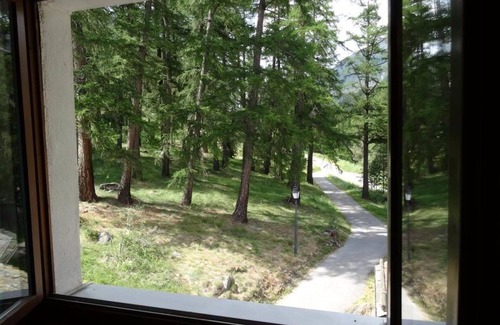 Saas-Balen Apartment | Beautiful apartment for 5 guests with WIFI, TV and balcony