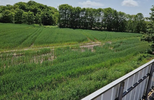 Dornum Apartment | Beautiful apartment with large roof terrace