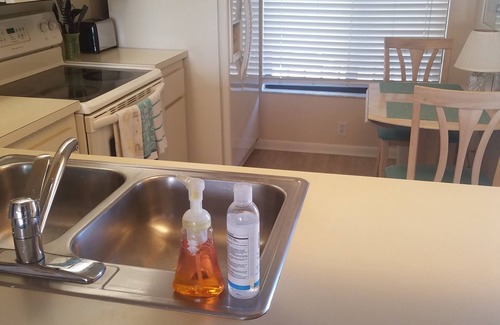St. Petersburg Condo | Beautiful Bahia Pointe Waterfront Villa now available Sept/Oct 2025 $130 night