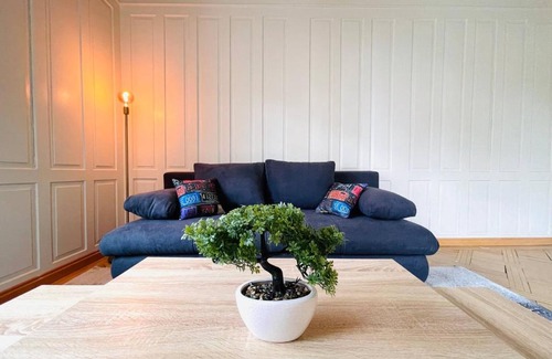 St. Gallen Apartment | Beautiful, bright, large apartment with balcony smarttv