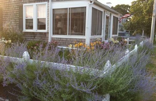 Harwich Port House | Beautiful Cape Cod Cottage Steps from Nantucket Sound and Sandy Private Beach